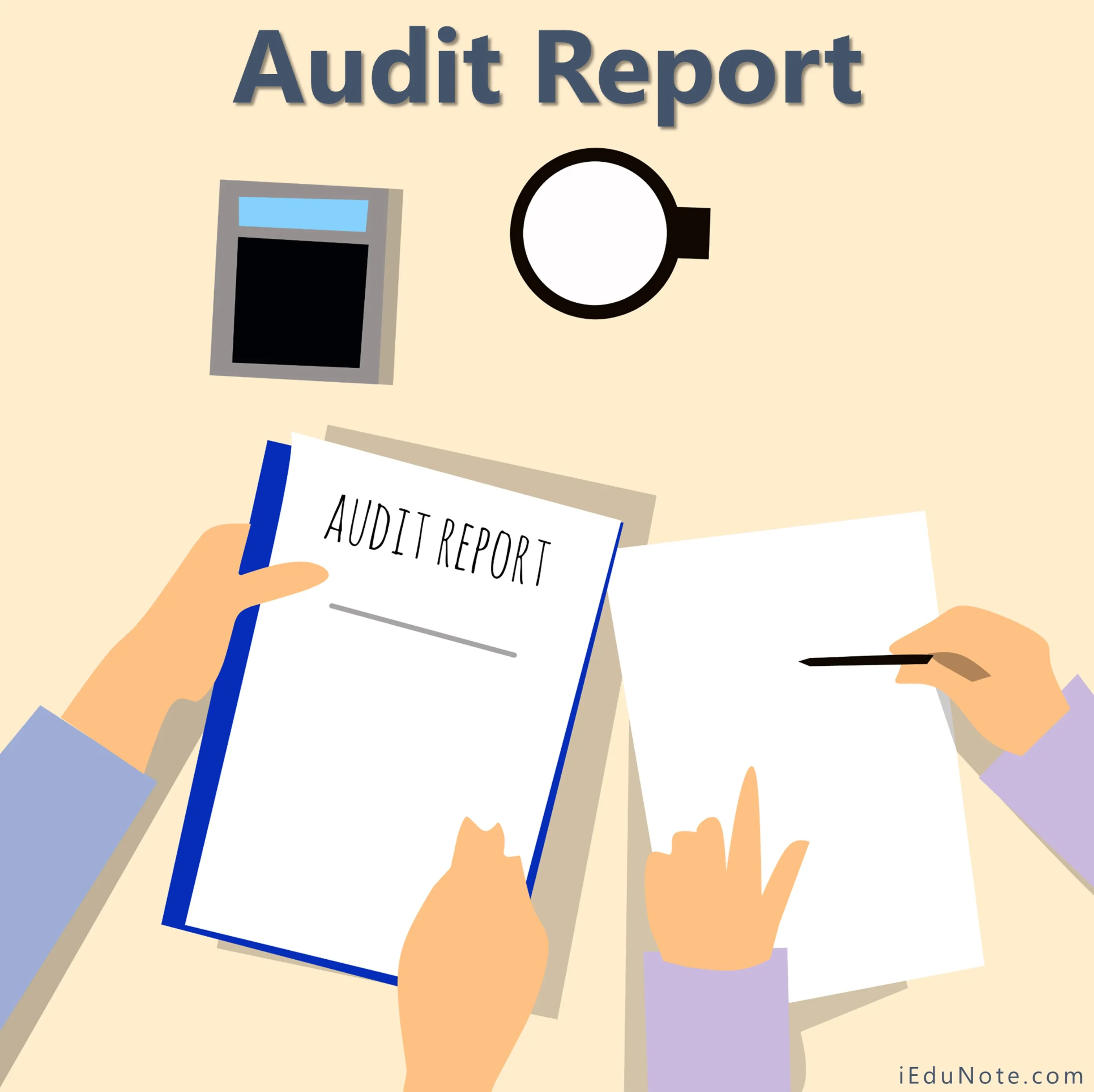 Audit Report