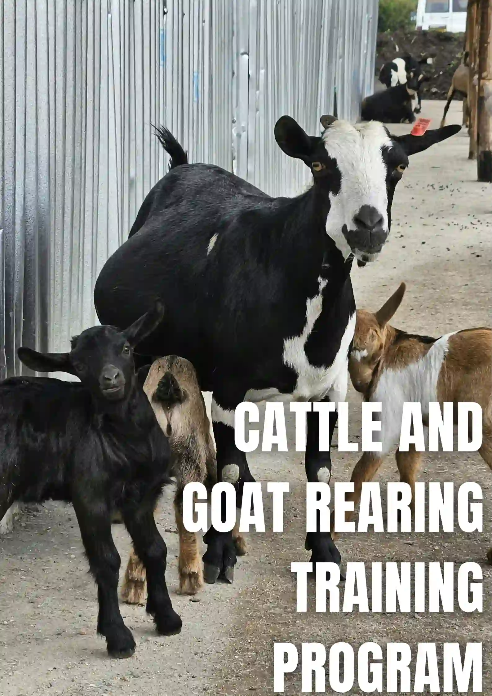 Notice Regarding Cattle and Goat Rearing Training Program
