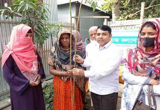 Tree Plantation Program - Image 3