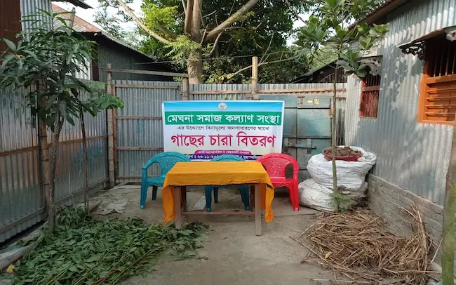 Tree Plantation Program - Image 5