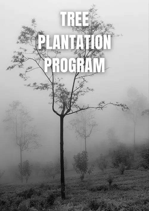 Tree Plantation Program