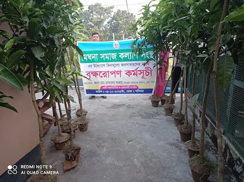 Tree Plantation Program - Image 2