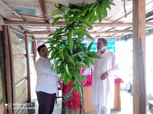 Tree Plantation Program - Image 4