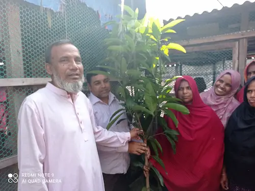 Tree Plantation Program - Image 5