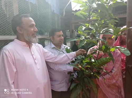 Tree Plantation Program - Image 6