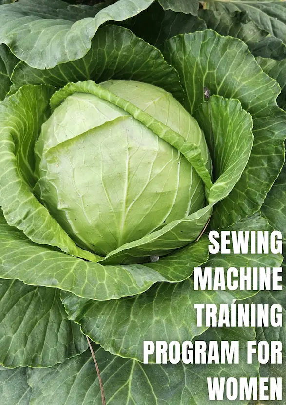 Homestead Vegetable Cultivation Training Program